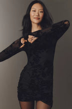 Mizra Mesh Long Sleeve Mini Dress